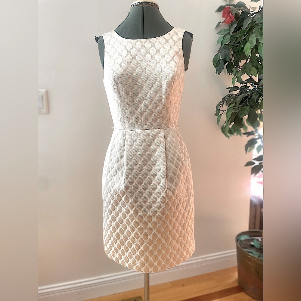 White House black market dress